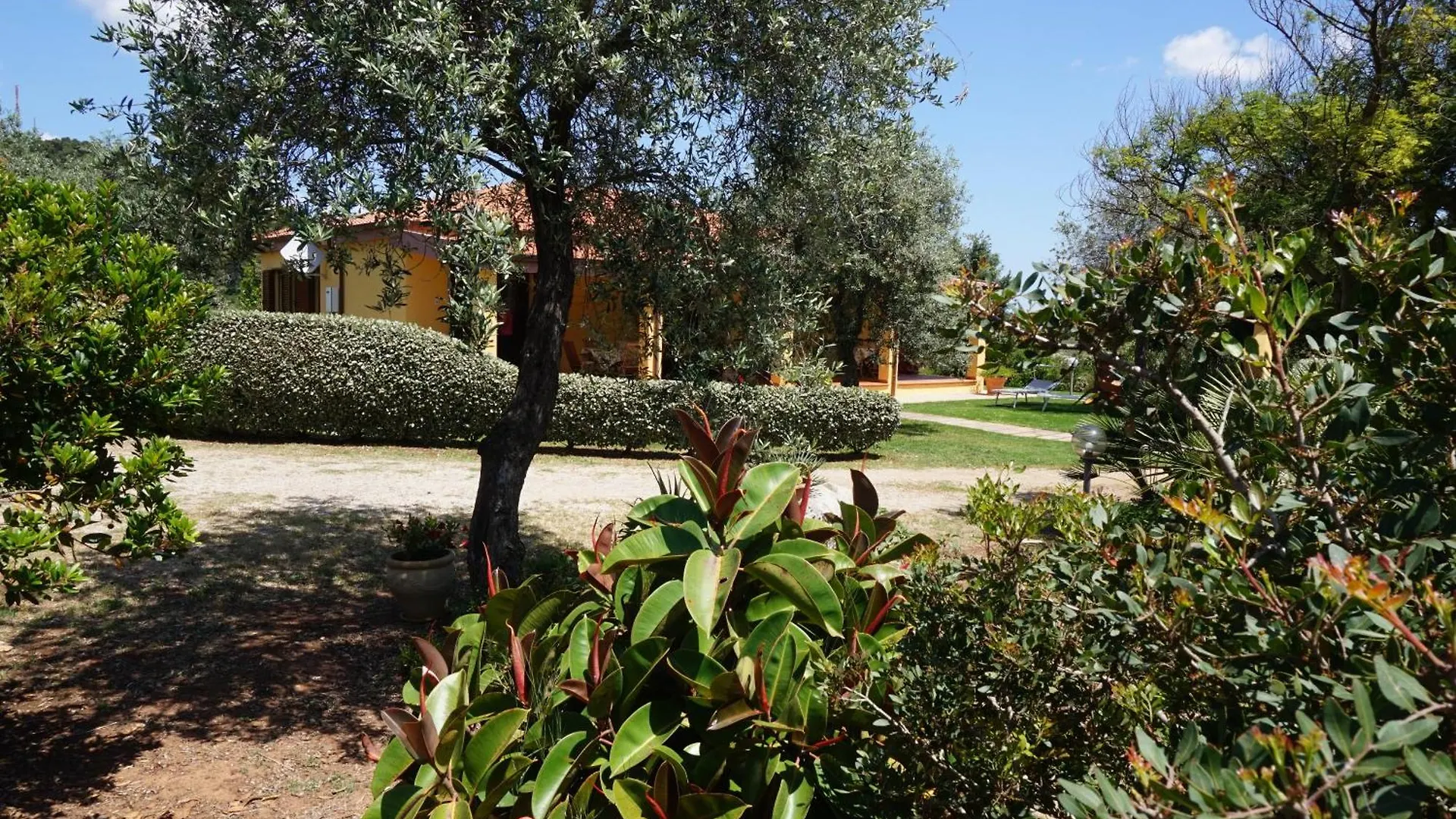 Rosanna House In Bombarde Beach Alghero Italy