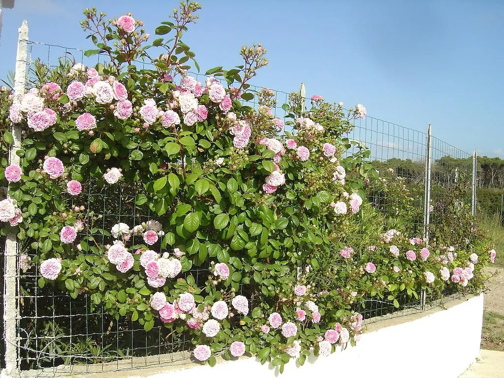Rosanna House In Bombarde Beach Alghero 0*,  Italy